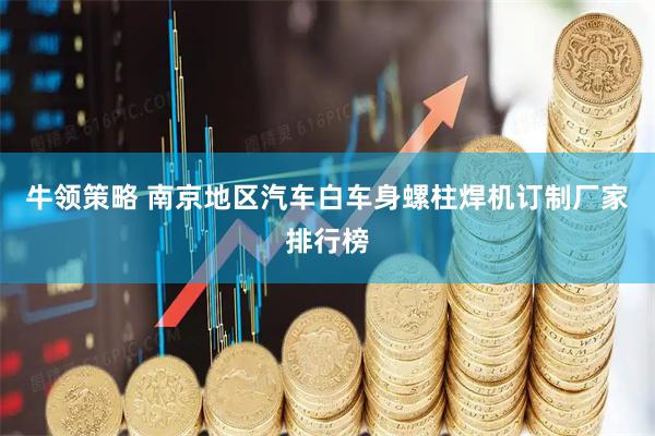 牛领策略 南京地区汽车白车身螺柱焊机订制厂家排行榜