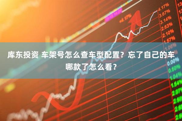库东投资 车架号怎么查车型配置？忘了自己的车哪款了怎么看？