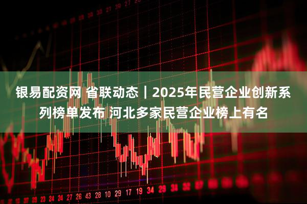 银易配资网 省联动态｜2025年民营企业创新系列榜单发布 河北多家民营企业榜上有名