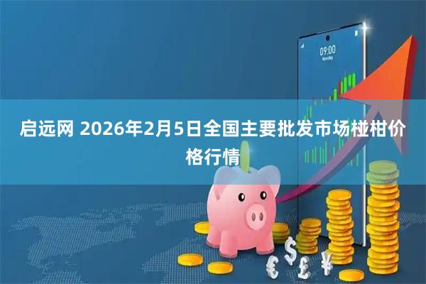 启远网 2026年2月5日全国主要批发市场椪柑价格行情