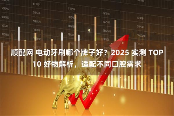 顺配网 电动牙刷哪个牌子好？2025 实测 TOP10 好物解析，适配不同口腔需求